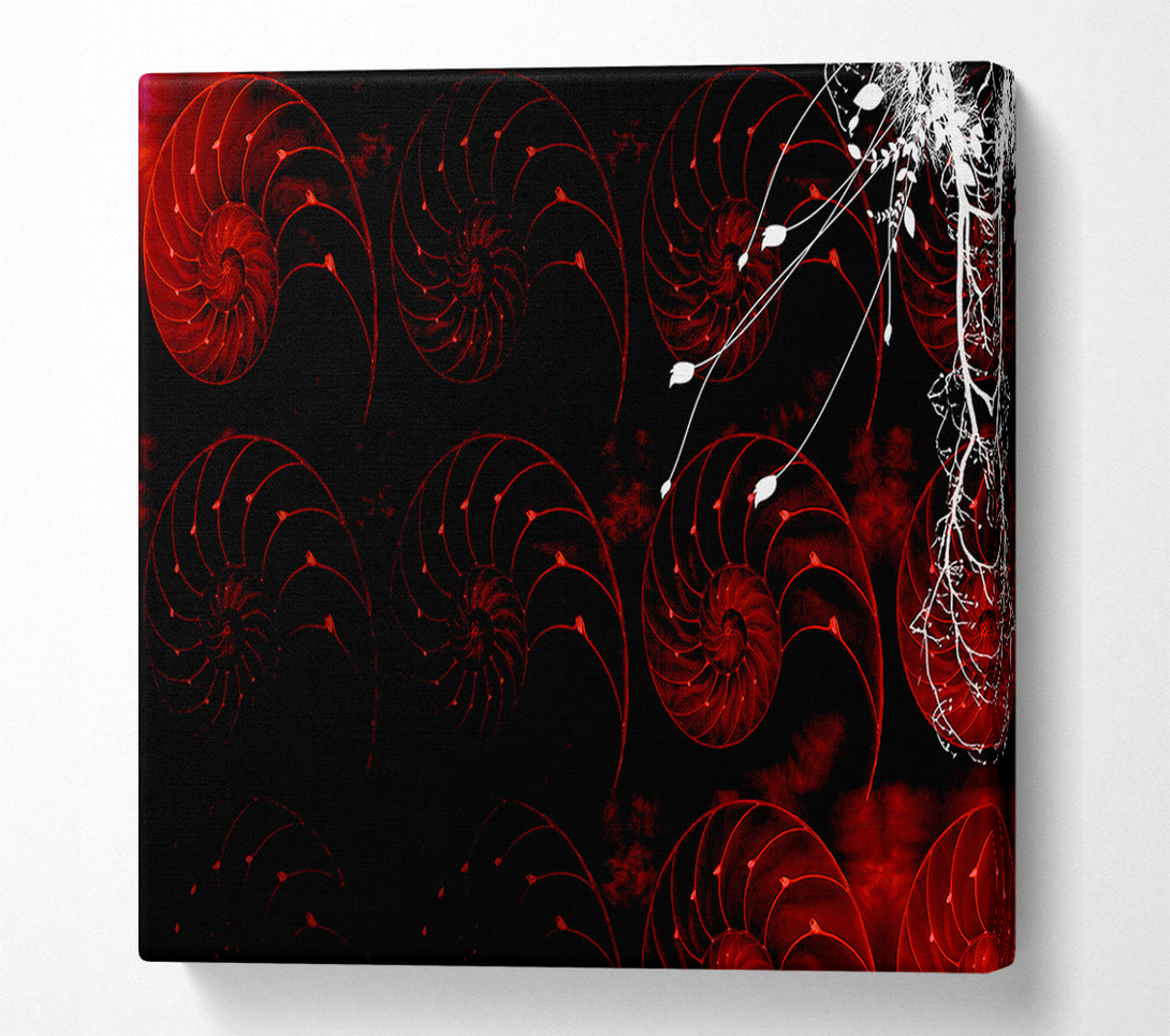  A Canvas Print of Red Shell Delight Canvas Print