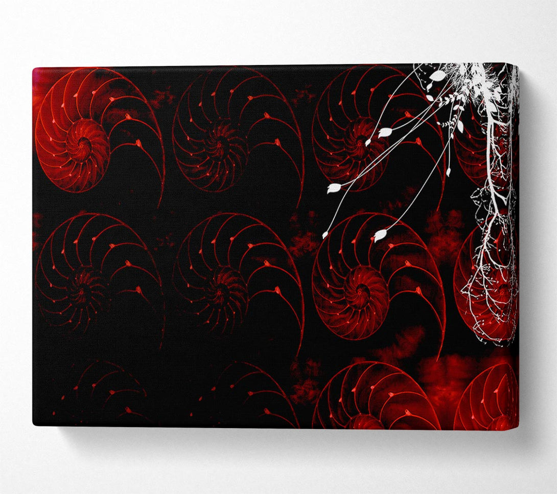  A Canvas Print of Red Shell Delight Canvas Print