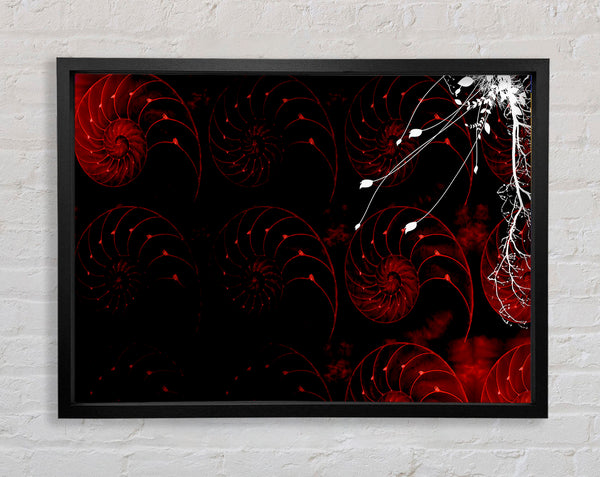 Red Shell Delight Framed Print