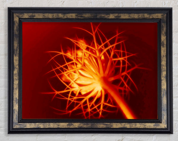 Red Thorns Framed Print