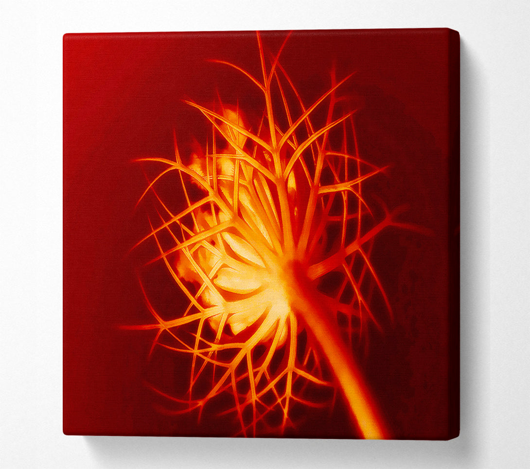  A Canvas Print of Red Thorns Canvas Art