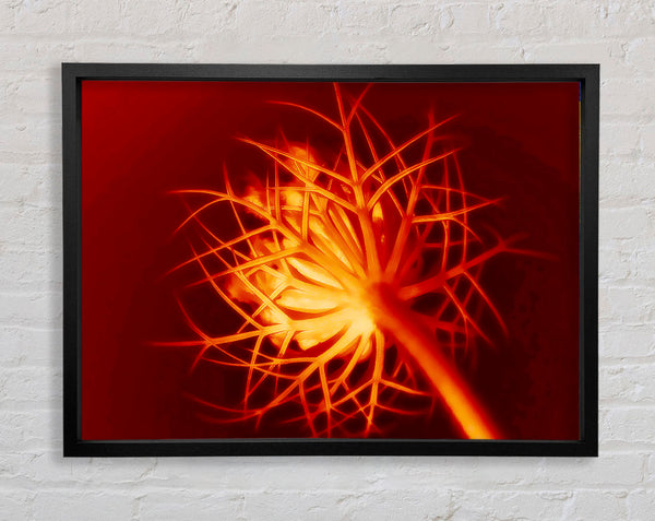 Red Thorns Framed Print
