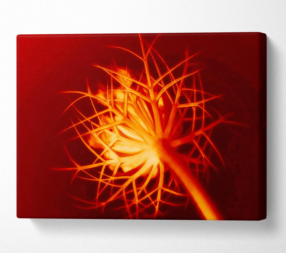  A Canvas Print of Red Thorns Canvas Art