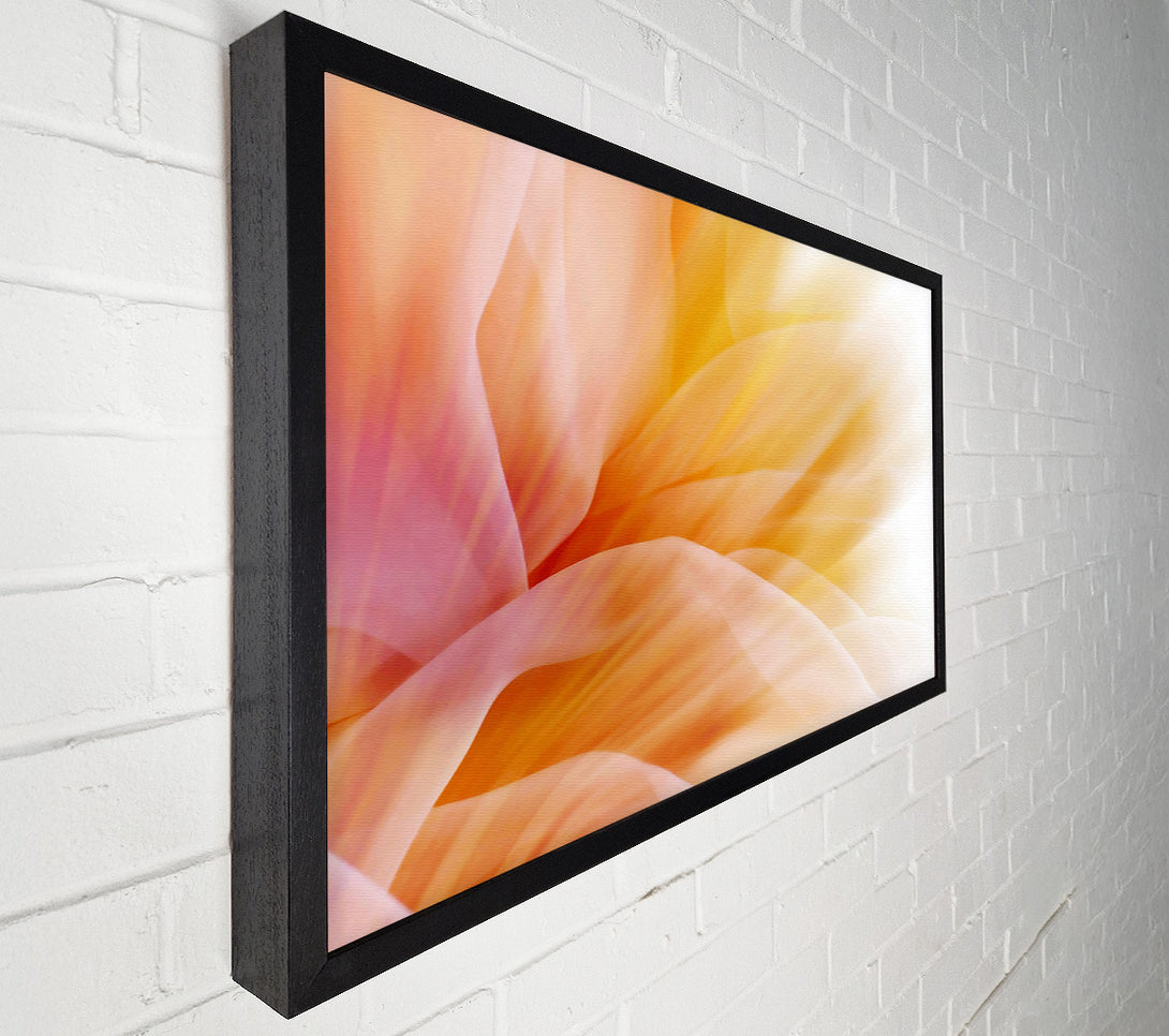  A Canvas Print of Soft Silk Reflections Canvas Print
