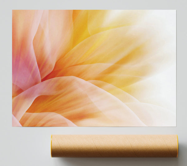 Soft Silk Reflections Giclee Print