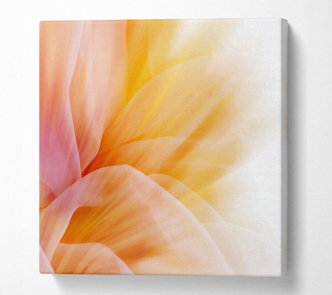  A Canvas Print of Soft Silk Reflections Canvas Print