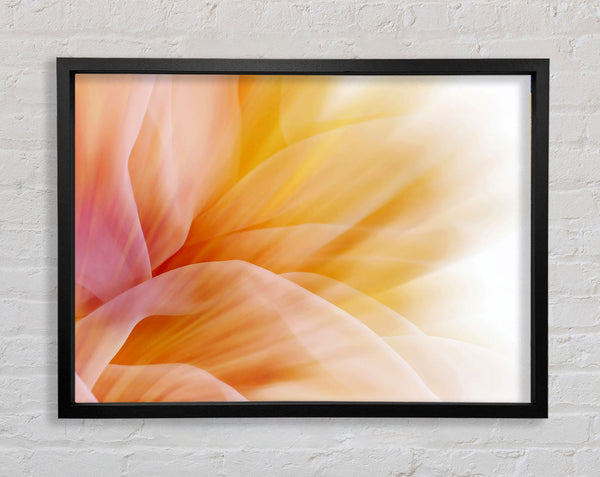 Soft Silk Reflections Framed Print