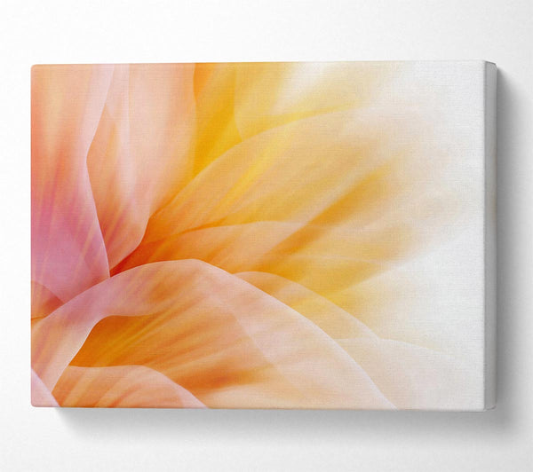  A Canvas Print of Soft Silk Reflections Canvas Print