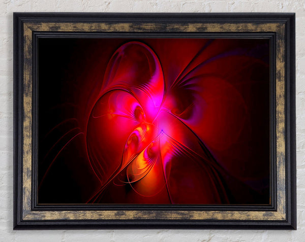 Soul Intent Framed Print