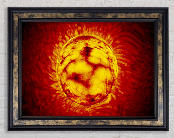 Sun Worshiper Framed Print