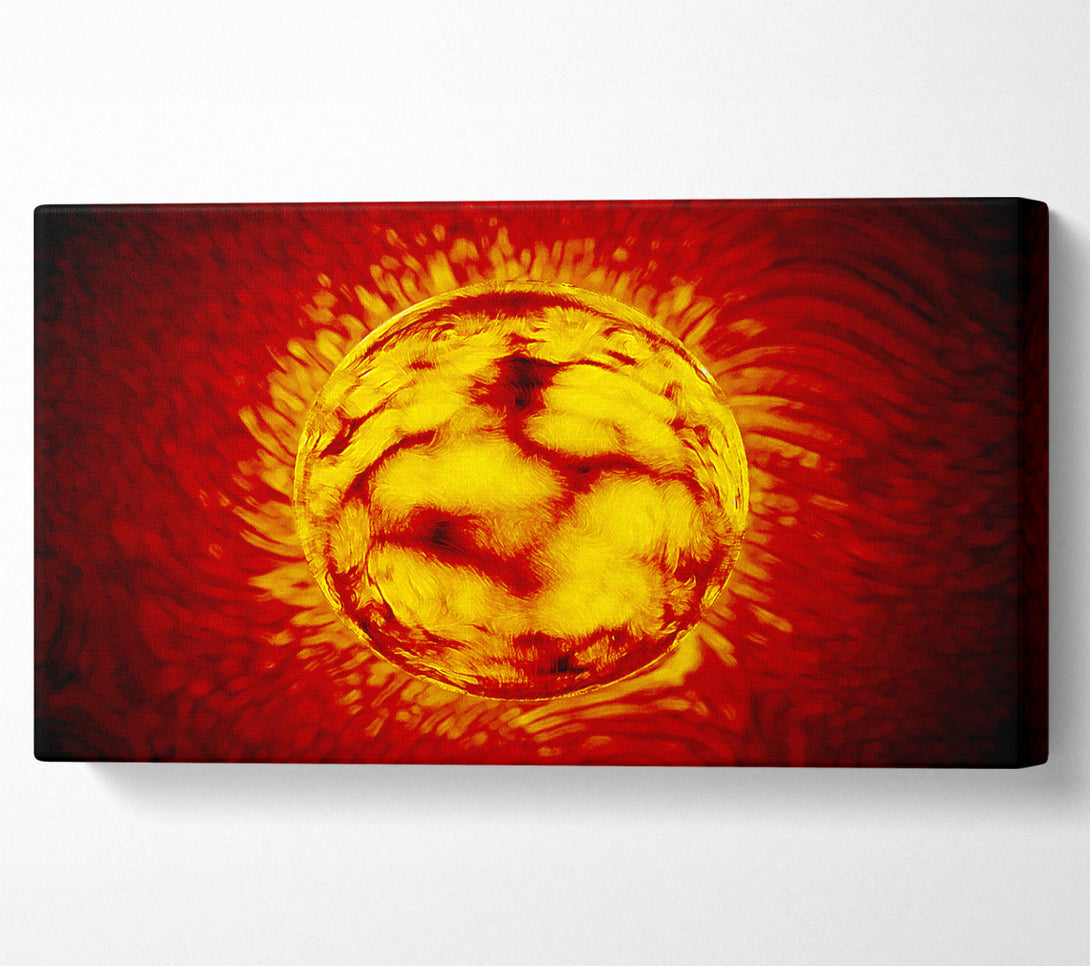  A Canvas Print of Sun Worshiper Canvas Art