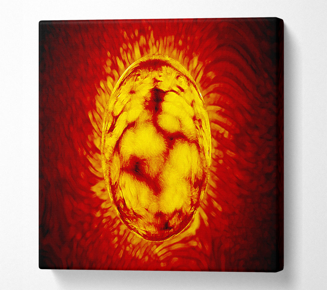  A Canvas Print of Sun Worshiper Canvas Art