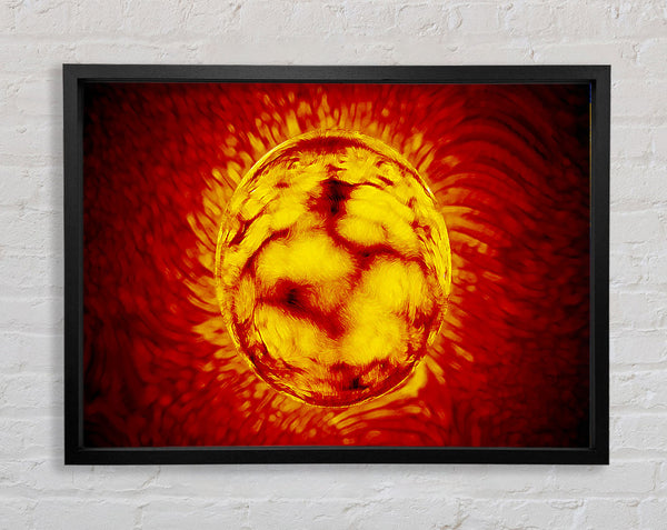 Sun Worshiper Framed Print