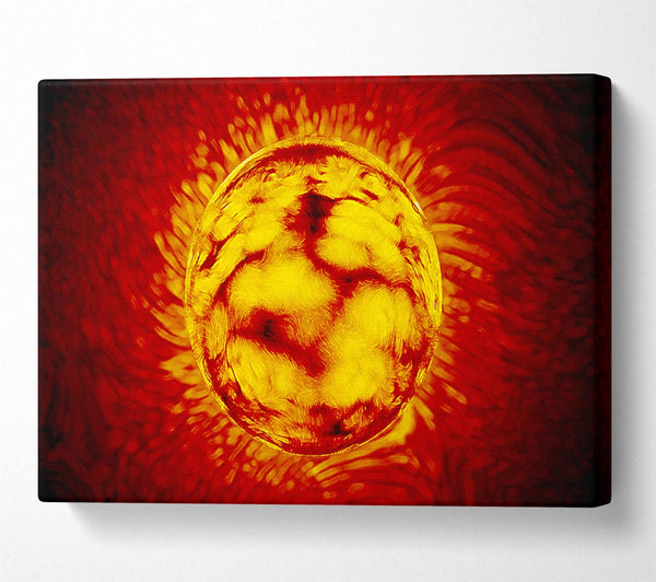  A Canvas Print of Sun Worshiper Canvas Art