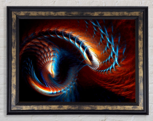 The Core Of A Shell Framed Print