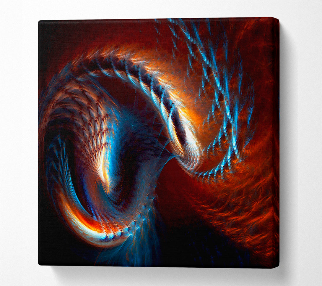  A Canvas Print of The Core Of A Shell Canvas Print