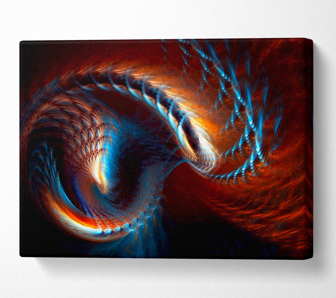  A Canvas Print of The Core Of A Shell Canvas Print