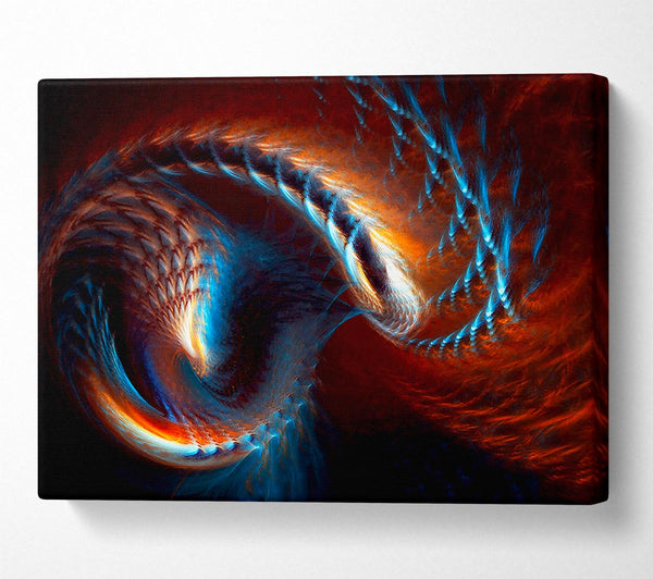  A Canvas Print of The Core Of A Shell Canvas Print