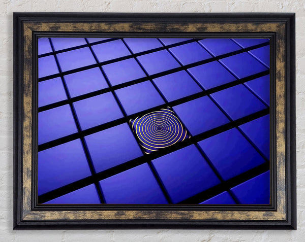 The Odd One Out Framed Print