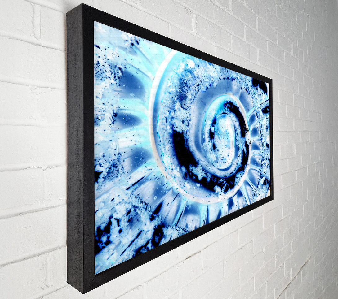  A Canvas Print of The Shells Core Canvas Art