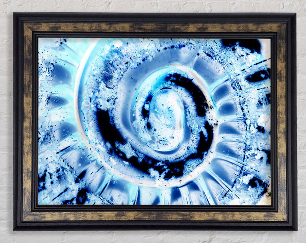 The Shells Core Framed Print