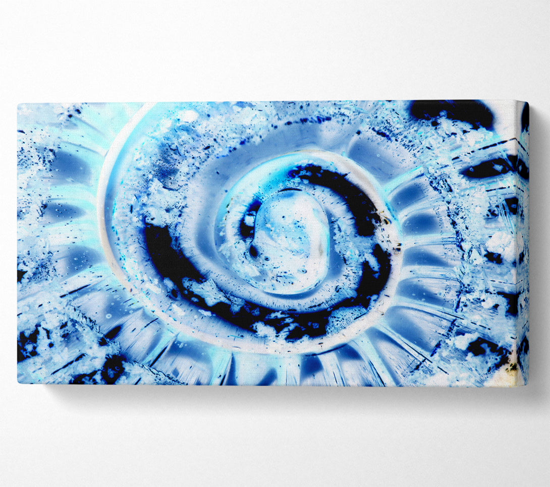  A Canvas Print of The Shells Core Canvas Art