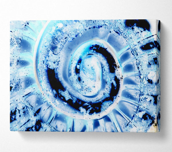  A Canvas Print of The Shells Core Canvas Art
