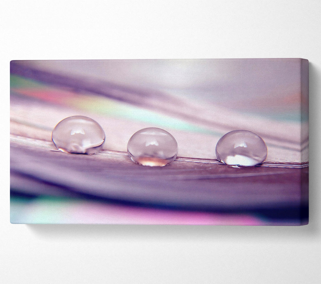  A Canvas Print of Three Water Drops Canvas Wall Art