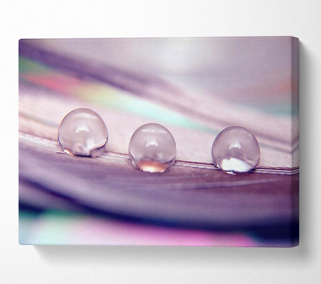  A Canvas Print of Three Water Drops Canvas Wall Art