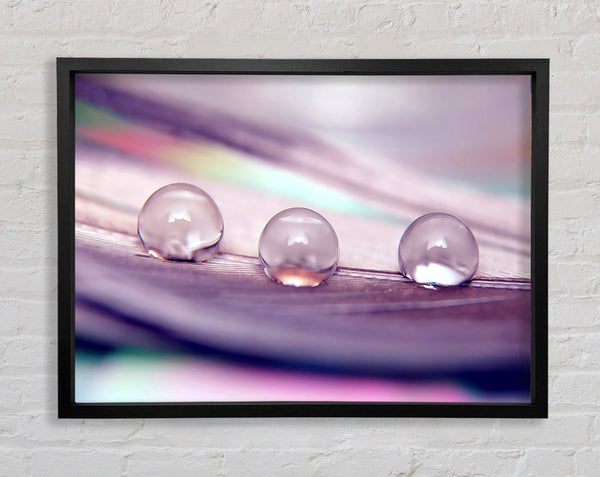 Three Water Drops Framed Print