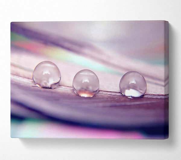 A Canvas Print of Three Water Drops Canvas Wall Art