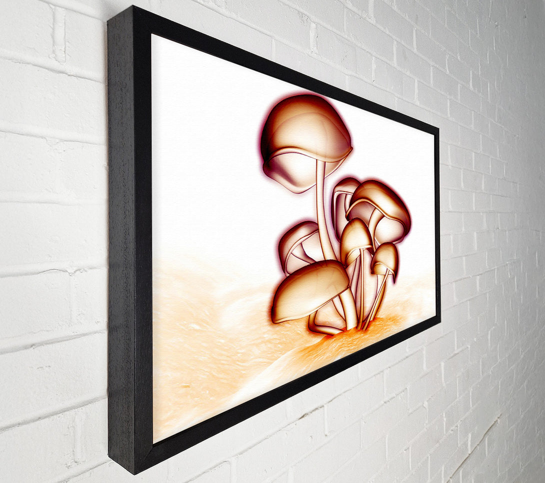  A Canvas Print of Toad Stool Canvas Art