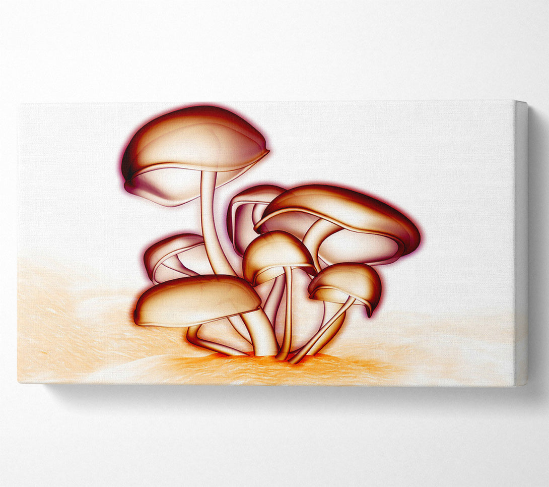  A Canvas Print of Toad Stool Canvas Art