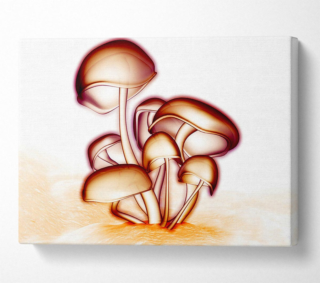  A Canvas Print of Toad Stool Canvas Art