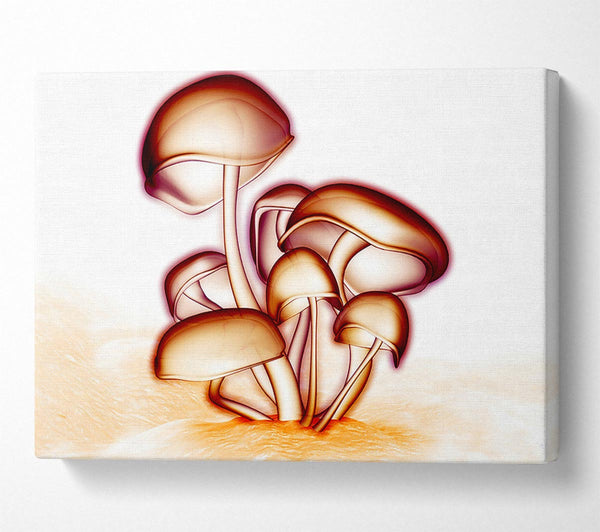  A Canvas Print of Toad Stool Canvas Art