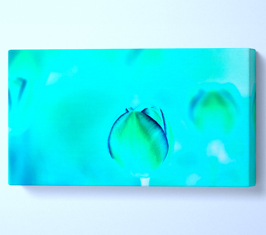  A Canvas Print of Turquoise Tulip Canvas Art