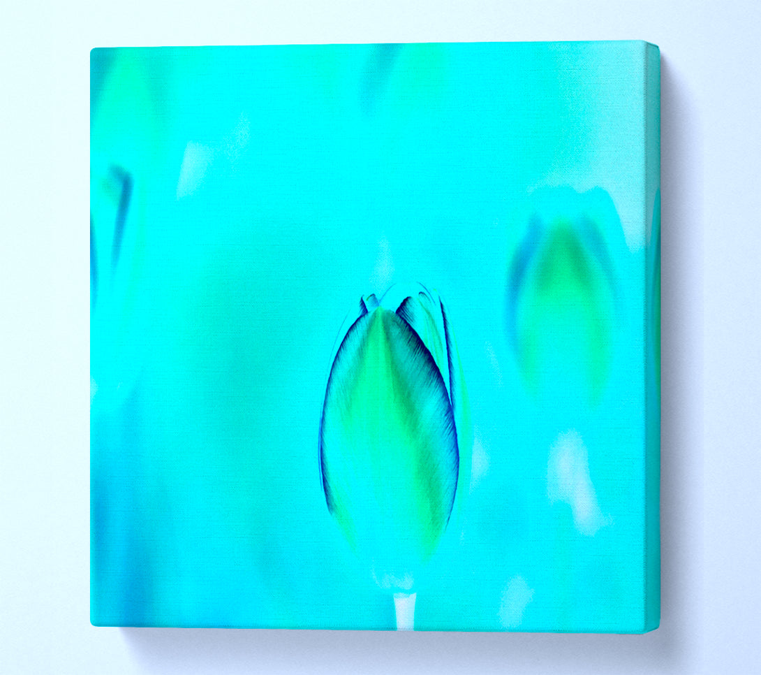  A Canvas Print of Turquoise Tulip Canvas Art