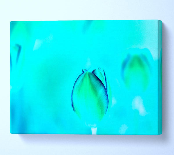  A Canvas Print of Turquoise Tulip Canvas Art