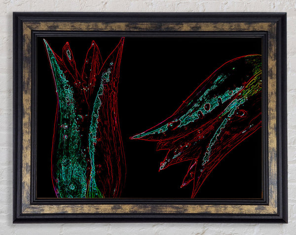 Twin Flowers Framed Print