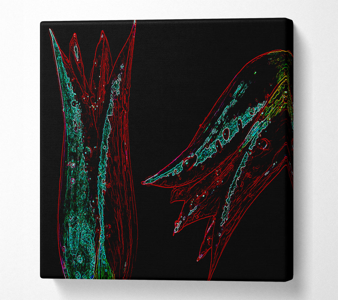  A Canvas Print of Twin Flowers Canvas Print