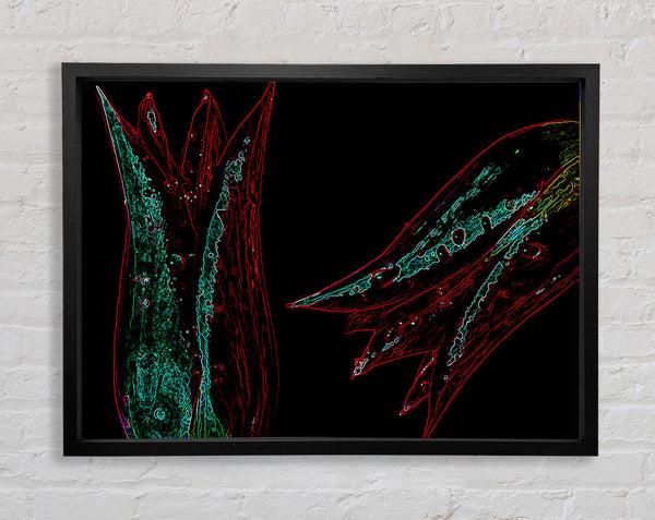Twin Flowers Framed Print