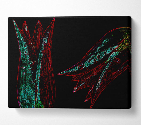  A Canvas Print of Twin Flowers Canvas Print