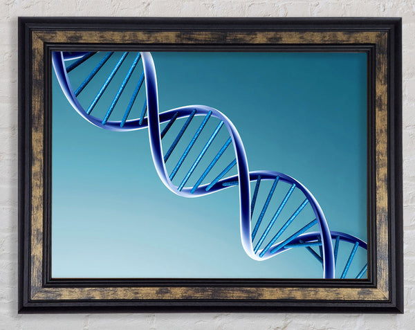 Twin Helix Framed Print