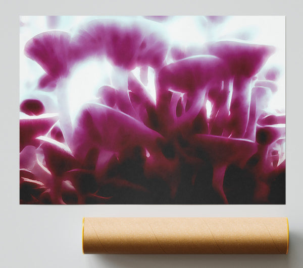 Vibrant Toad Stools Poster