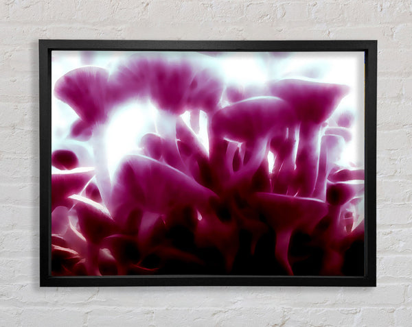 Vibrant Toad Stools Framed Print