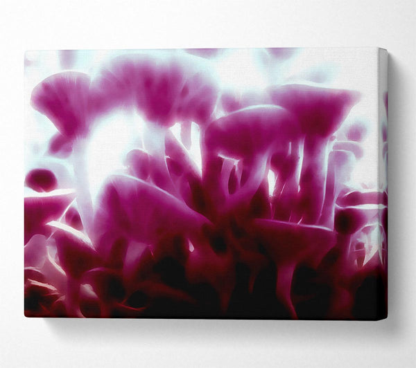  A Canvas Print of Vibrant Toad Stools Canvas Print