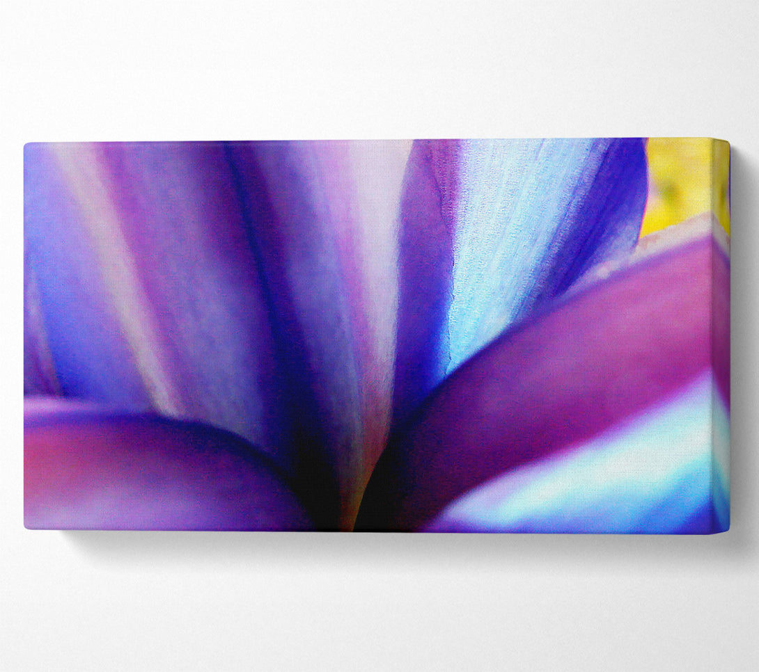  A Canvas Print of Violet Dream Canvas Print