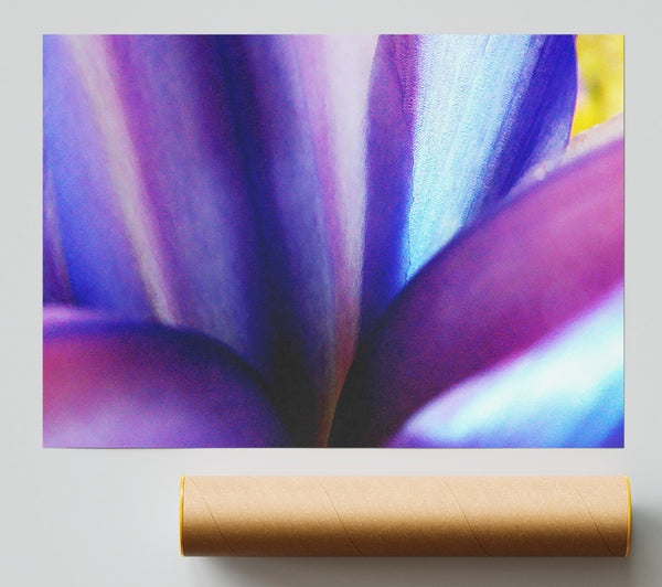 Violet Dream Poster