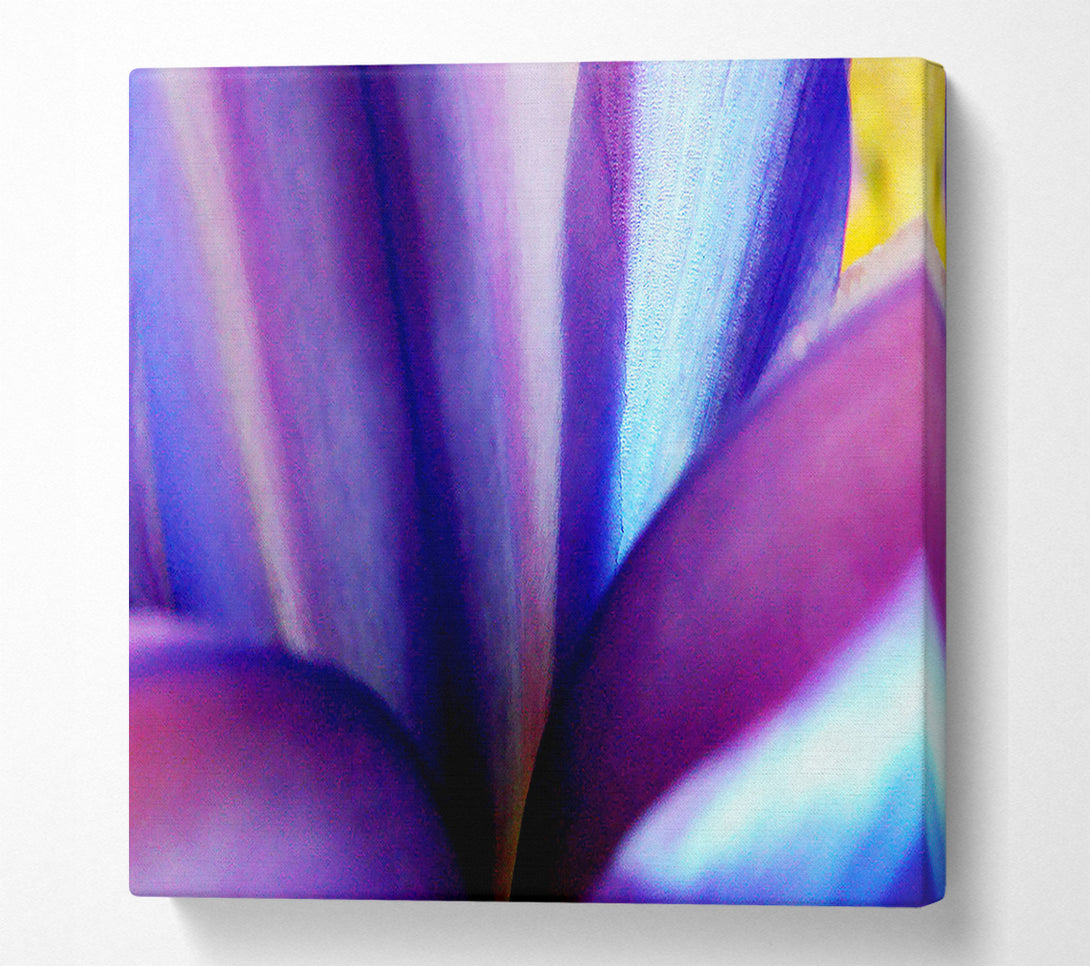  A Canvas Print of Violet Dream Canvas Print