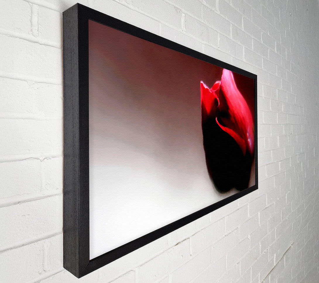  A Canvas Print of Visions Of A Rose Canvas Print